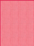Hand Block Printed 100% Cotton Dohar King Size Reversible (PInk Peach Flower)